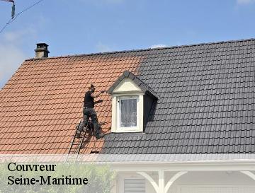 Couvreur 76 Seine-Maritime  Entreprise WP