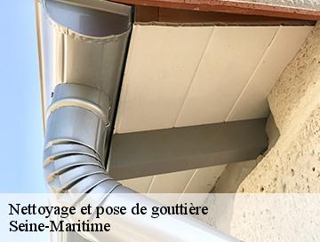 Nettoyage et pose de gouttière 76 Seine-Maritime  ECO Rénovation