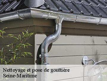 Nettoyage et pose de gouttière 76 Seine-Maritime  ECO Rénovation
