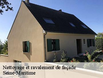 Nettoyage et ravalement de façade 76 Seine-Maritime  ECO Rénovation