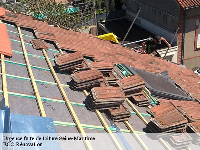 Urgence fuite de toiture 76 Seine-Maritime Entreprise WP