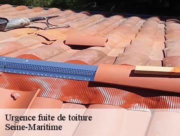 Urgence fuite de toiture 76 Seine-Maritime  Entreprise WP