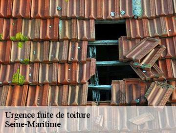 Urgence fuite de toiture 76 Seine-Maritime  Entreprise WP