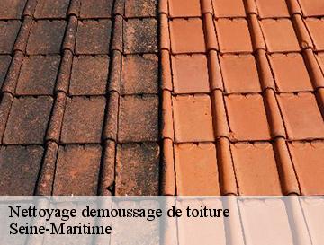 Nettoyage demoussage de toiture 76 Seine-Maritime  Entreprise WP