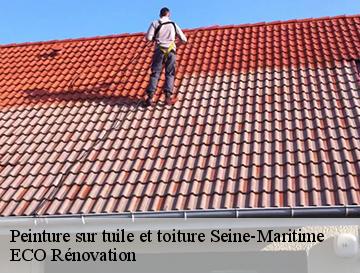 Peinture sur tuile et toiture 76 Seine-Maritime  ECO Rénovation
