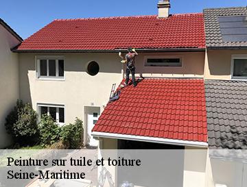 Peinture sur tuile et toiture 76 Seine-Maritime  ECO Rénovation