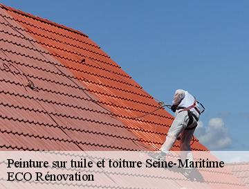 Peinture sur tuile et toiture 76 Seine-Maritime  ECO Rénovation