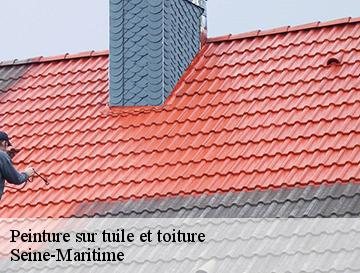Peinture sur tuile et toiture 76 Seine-Maritime  ECO Rénovation