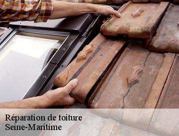 Réparation de toiture 76 Seine-Maritime  Entreprise WP