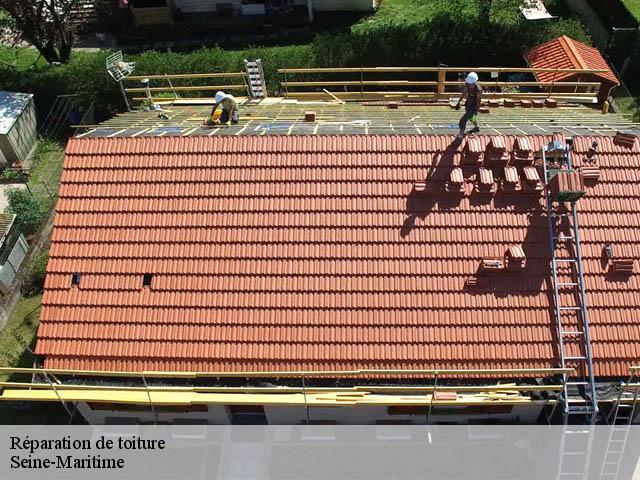 Réparation de toiture 76 Seine-Maritime  Entreprise WP