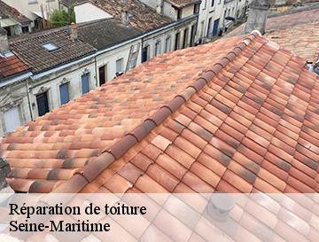 Réparation de toiture 76 Seine-Maritime  Entreprise WP