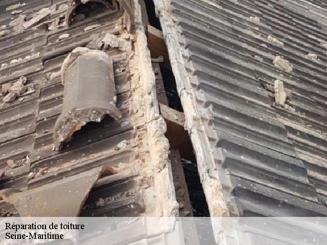 Réparation de toiture Seine-Maritime 