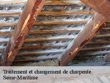 Traitement et changement de charpente 76 Seine-Maritime  Entreprise WP