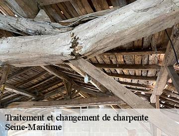 Traitement et changement de charpente 76 Seine-Maritime  Entreprise WP