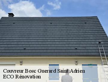 Couvreur  bosc-guerard-saint-adrien-76710 Entreprise WP