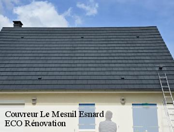 Couvreur  le-mesnil-esnard-76240 ECO Rénovation