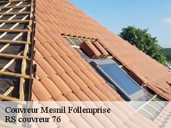 Couvreur  mesnil-follemprise-76660 RS couvreur 76