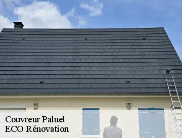 Couvreur  paluel-76450 Entreprise WP