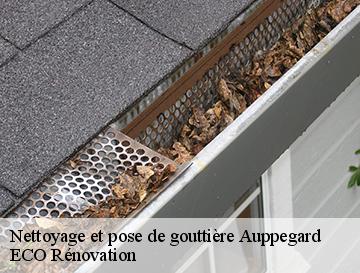 Nettoyage et pose de gouttière  auppegard-76730 ECO Rénovation