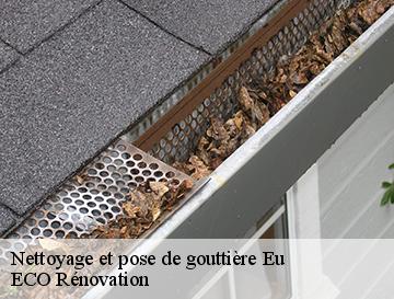 Nettoyage et pose de gouttière  eu-76260 ECO Rénovation
