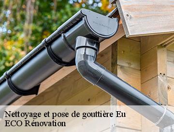Nettoyage et pose de gouttière  eu-76260 ECO Rénovation
