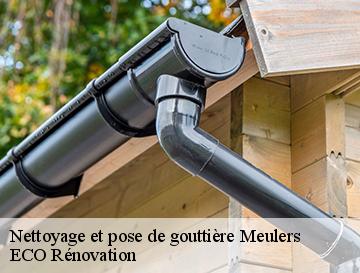 Nettoyage et pose de gouttière  meulers-76510 ECO Rénovation