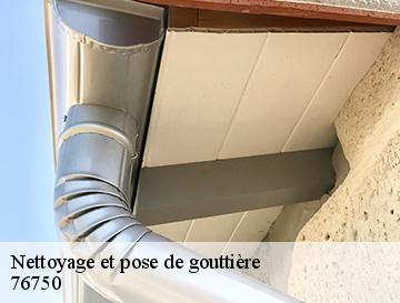 Nettoyage et pose de gouttière  saint-germain-des-essourts-76750 ECO Rénovation