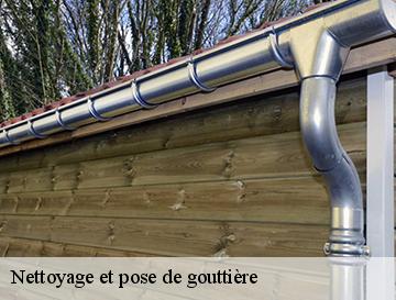 Nettoyage et pose de gouttière  saint-germain-des-essourts-76750 ECO Rénovation