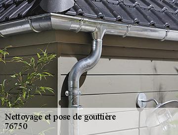 Nettoyage et pose de gouttière  saint-germain-des-essourts-76750 ECO Rénovation