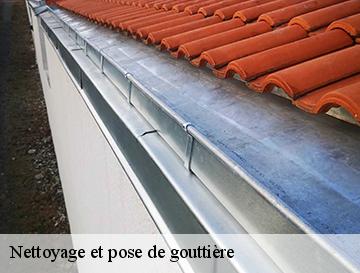 Nettoyage et pose de gouttière  saint-germain-des-essourts-76750 ECO Rénovation
