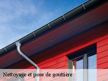 Nettoyage et pose de gouttière  saint-vaasaint-dieppedalle-76450 RS couvreur 76