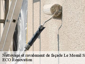 Nettoyage et ravalement de façade  le-mesnil-sous-jumieges-76480 ECO Rénovation