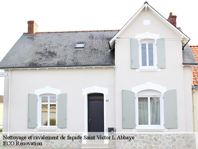 Nettoyage et ravalement de façade saint-victor-l-abbaye-76890 Entreprise WP