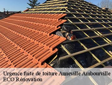 Urgence fuite de toiture  anneville-ambourville-76480 ECO Rénovation