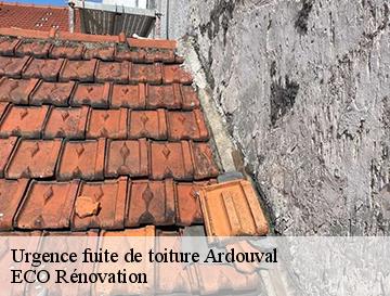 Urgence fuite de toiture  ardouval-76680 ECO Rénovation