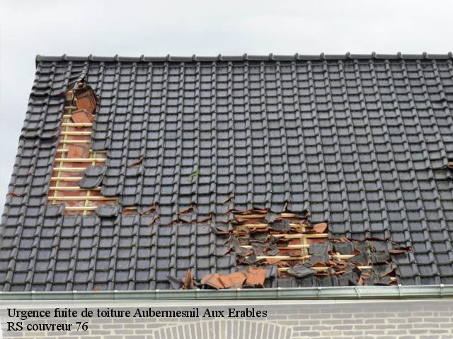 Urgence fuite de toiture  aubermesnil-aux-erables-76340 RS couvreur 76