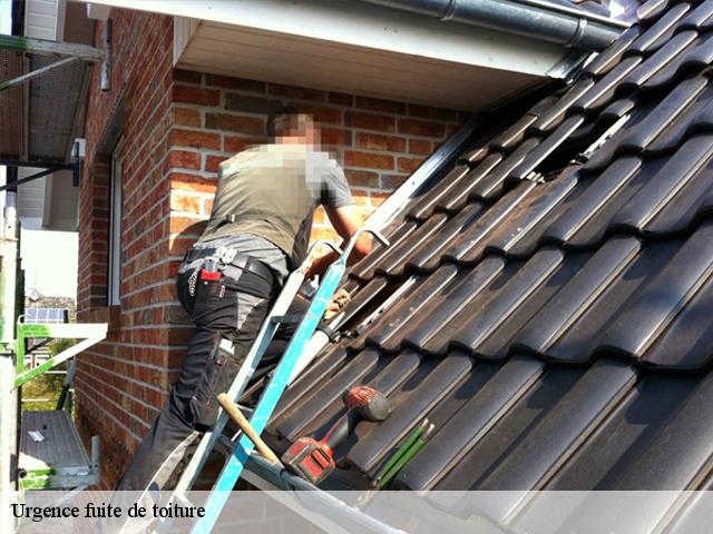 Urgence fuite de toiture  auberville-la-manuel-76450 RS couvreur 76