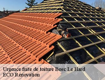 Urgence fuite de toiture  bosc-le-hard-76850 ECO Rénovation