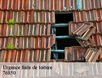 Urgence fuite de toiture  bosc-le-hard-76850 ECO Rénovation