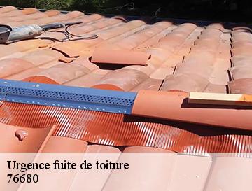 Urgence fuite de toiture  bosc-mesnil-76680 ECO Rénovation