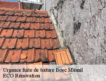 Urgence fuite de toiture  bosc-mesnil-76680 ECO Rénovation
