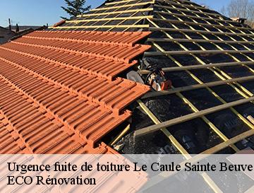 Urgence fuite de toiture  le-caule-sainte-beuve-76390 ECO Rénovation