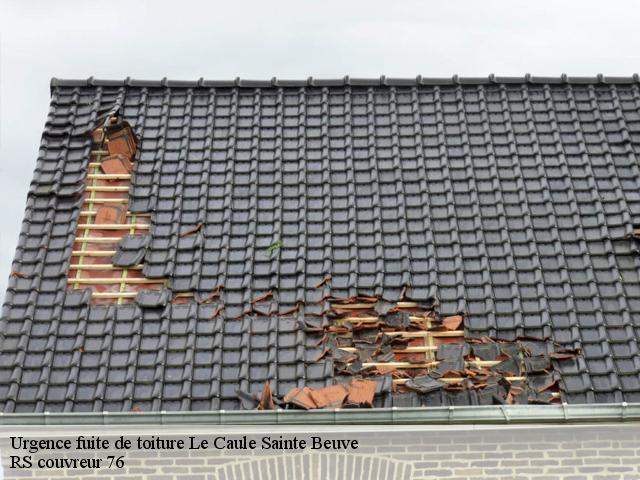 Urgence fuite de toiture  le-caule-sainte-beuve-76390 RS couvreur 76