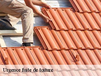 Urgence fuite de toiture  cuy-saint-fiacre-76220 RS couvreur 76