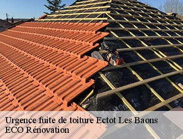 Urgence fuite de toiture  ectot-les-baons-76970 ECO Rénovation