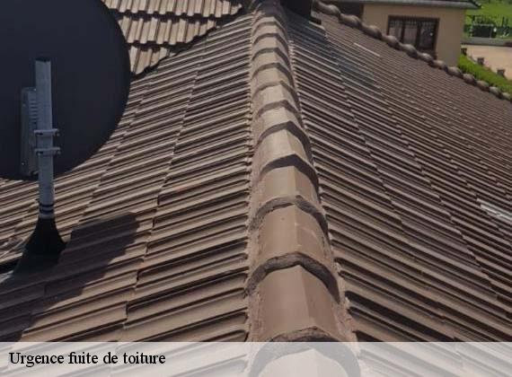 Urgence fuite de toiture  grumesnil-76440 RS couvreur 76