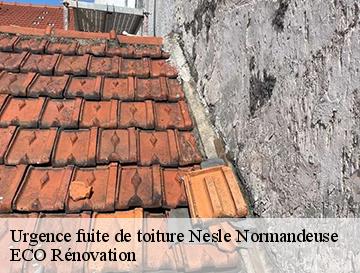 Urgence fuite de toiture  nesle-normandeuse-76340 ECO Rénovation