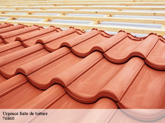 Urgence fuite de toiture  saint-denis-d-aclon-76860 RS couvreur 76