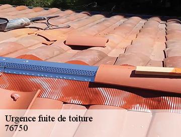 Urgence fuite de toiture  saint-germain-des-essourts-76750 ECO Rénovation