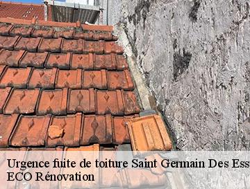 Urgence fuite de toiture  saint-germain-des-essourts-76750 ECO Rénovation